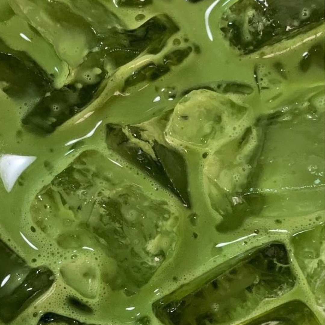GREEN TEA