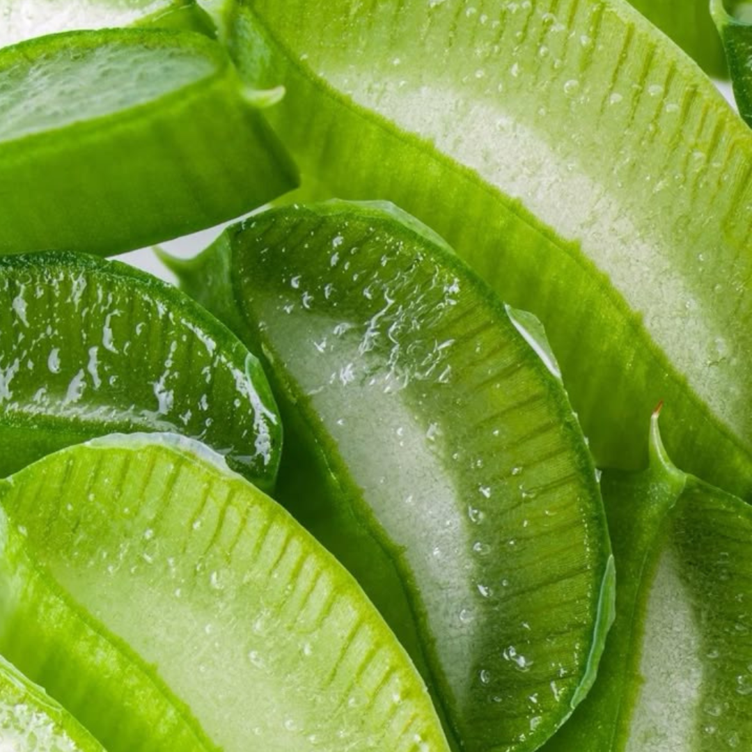 ALOE VERA